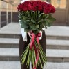 51 красная роза Эвер ред 70 см