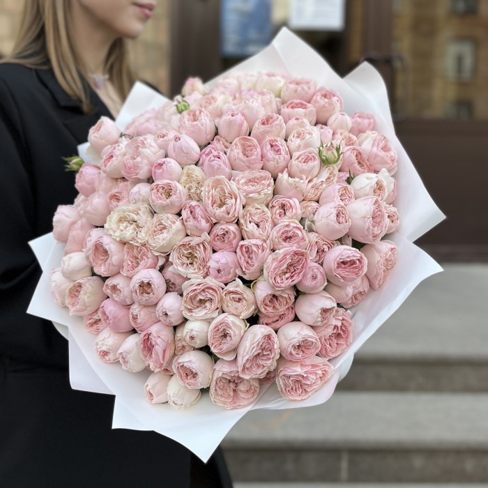 51 кустовая пионовидная Роза Мансфилд Пинк Парк 50 см