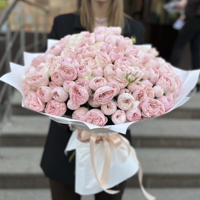 51 кустовая пионовидная Роза Мансфилд Пинк Парк 50 см