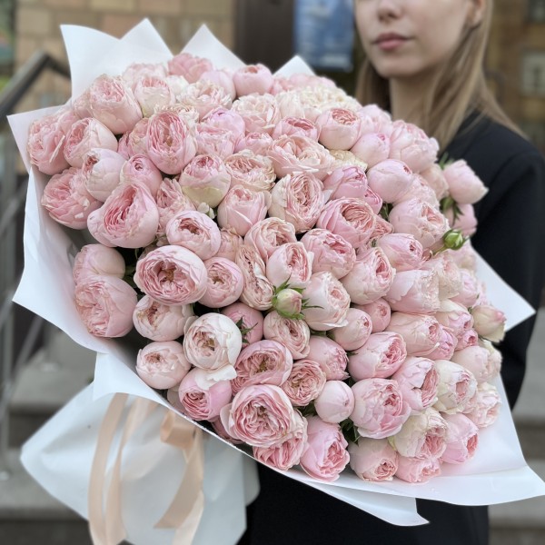 51 кустовая пионовидная Роза Мансфилд Пинк Парк 50 см