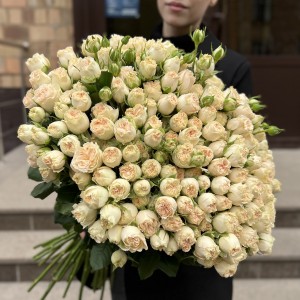 51 кустовая пионовидная роза Саммер- роз 60 см