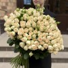 51 кустовая пионовидная роза Саммер- роз 60 см