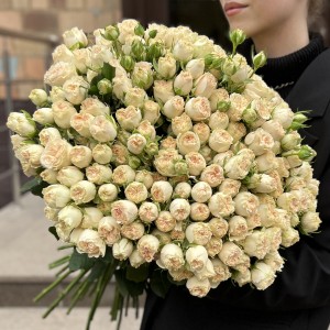 51 кустовая пионовидная роза Саммер-роз 50 см 51 кустовая пионовидная роза Саммер-роз 50 см