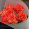 7 оранжевых роз Вау 40 см