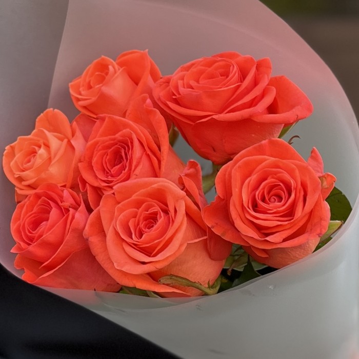 7 оранжевых роз Вау 40 см