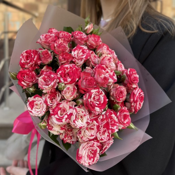 9 кустовых бело-малиновых роз Файрворкс 40 см