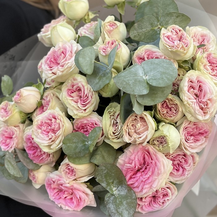 9 кустовых пионовидных роз Джелатто 50 см с эвкалиптом