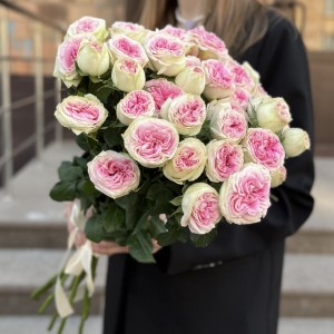 9 кустовых пионовидных роз Джелатто 50 см