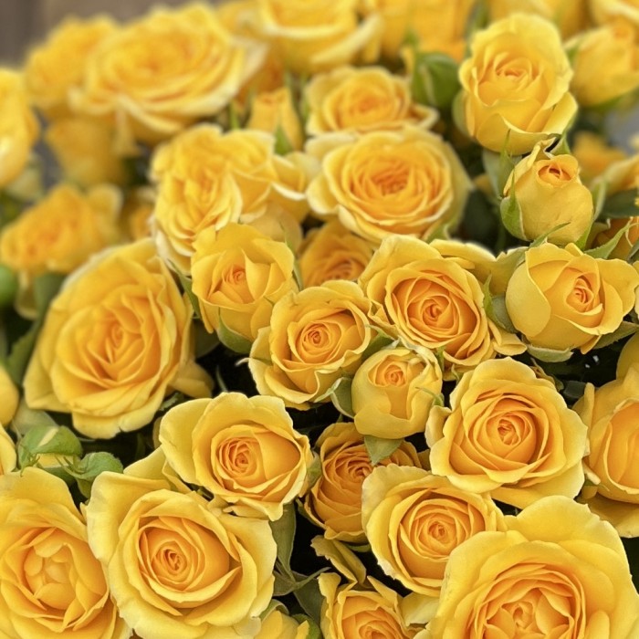 9 кустовых роз Еллоу бейби 40 см