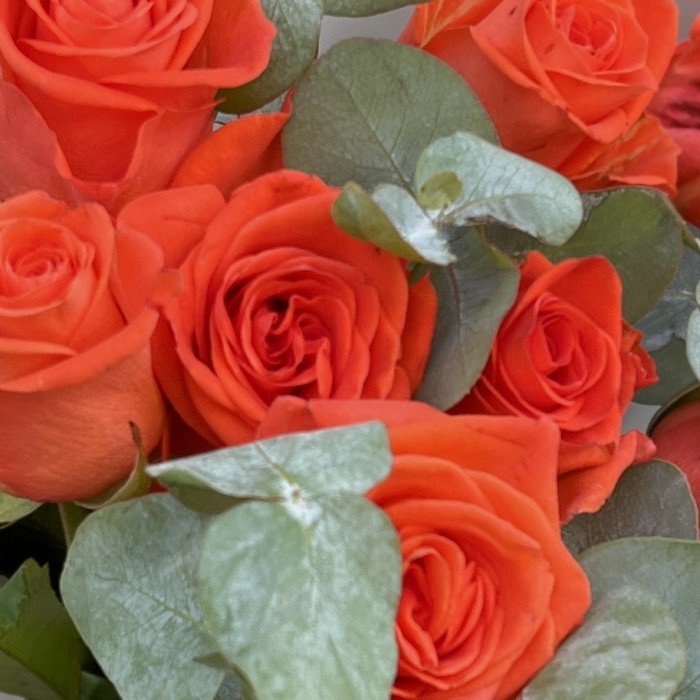 9 оранжевых роз Вау 50 см с эвкалиптом