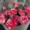 Комплимент бело-малиновых кустовых роз Файрворкс 50 см