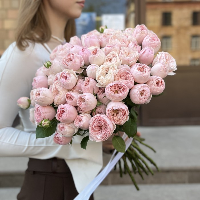 Кустовая пионовидная Роза Мансфилд Пинк Парк 50 см