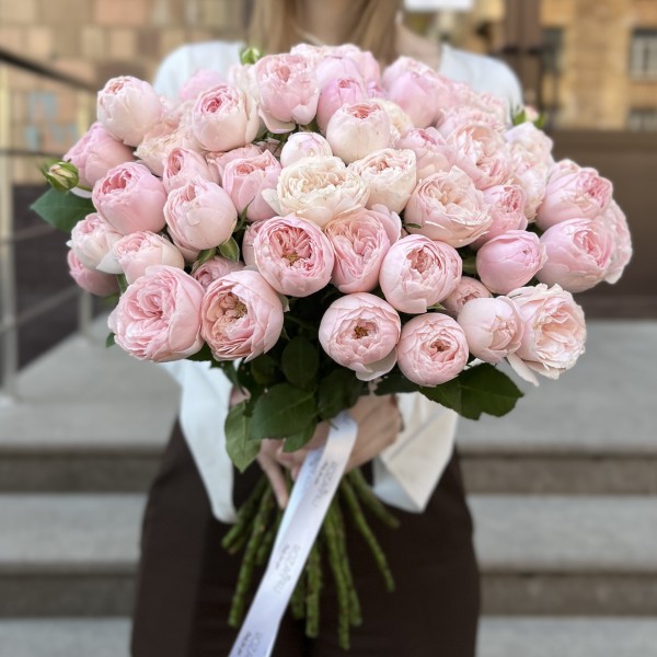 Кустовая пионовидная Роза Мансфилд Пинк Парк 50 см