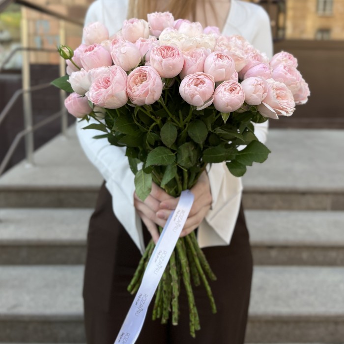 Кустовая пионовидная Роза Мансфилд Пинк Парк 50 см