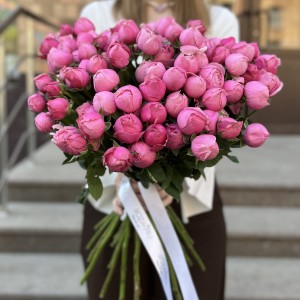 Кустовая пионовидная роза Сильва Пинк 60 см