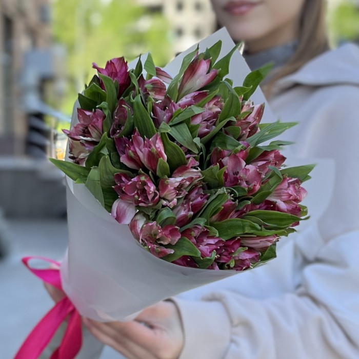 9 малиновых Альстромерий