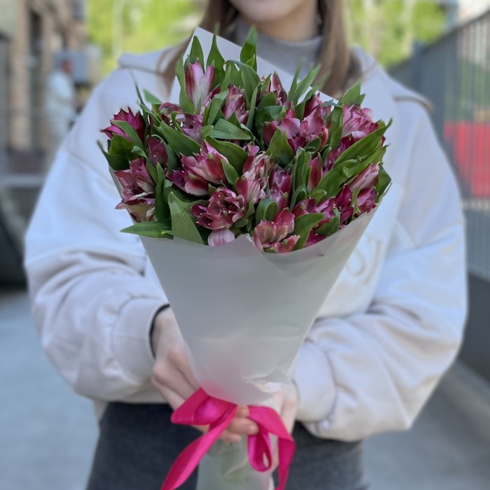9 малиновых Альстромерий
