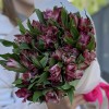 9 малиновых Альстромерий