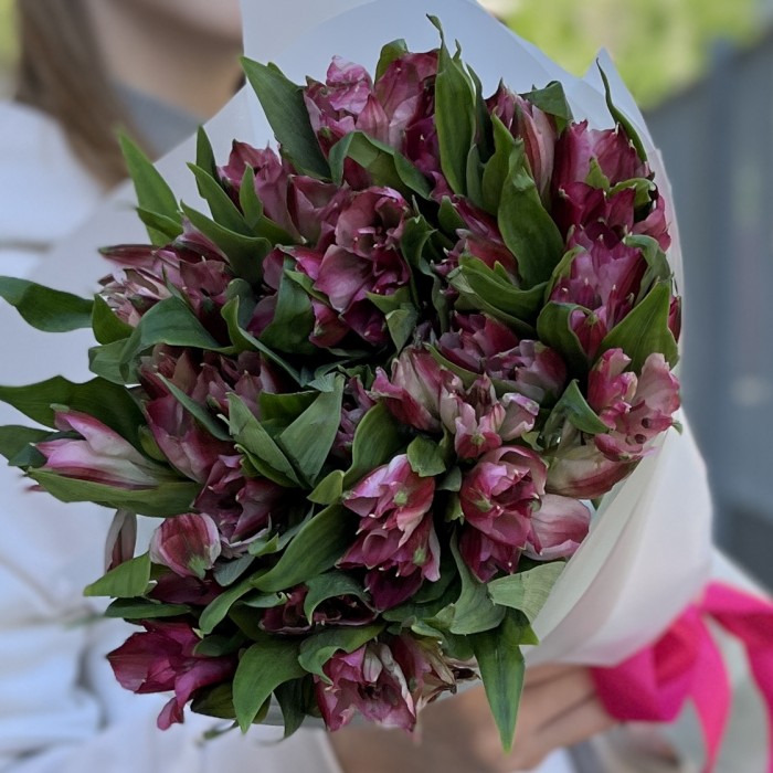 9 малиновых Альстромерий