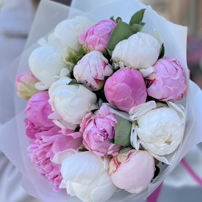 Букет из 15 нежных пионов MIX