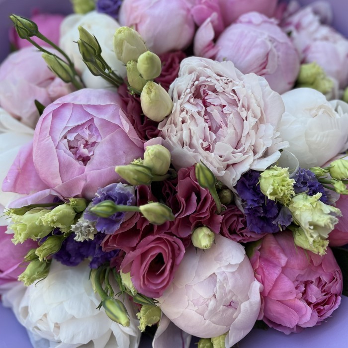 Букет из 15 нежных пионов и эустом MIX