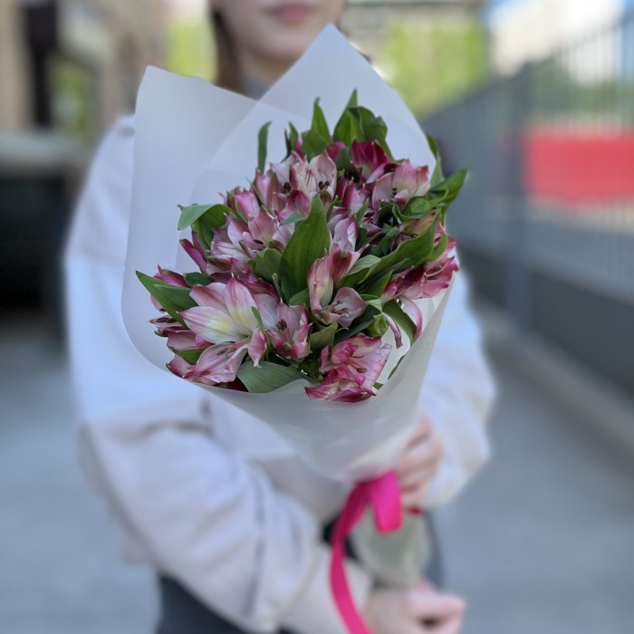 Букет из 5 малиновых альстромерий