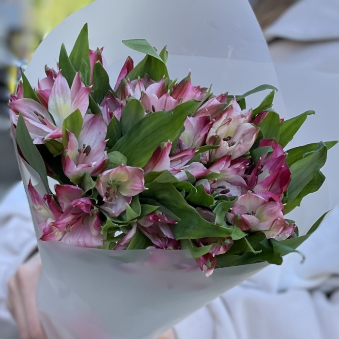 Букет из 5 малиновых альстромерий