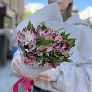 Букет из 5 малиновых альстромерий Букет из 5 малиновых альстромерий
