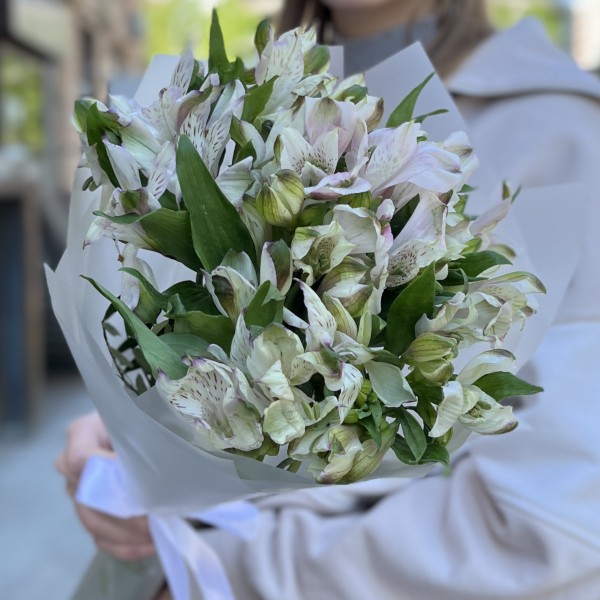 Букет из 9 бело-фиолетовых альстромерий