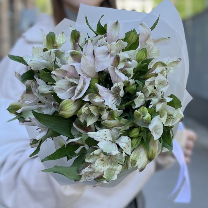 Букет из 9 бело-фиолетовых альстромерий
