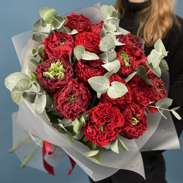 15 пионовидных роз Ред монстер с эвкалиптом