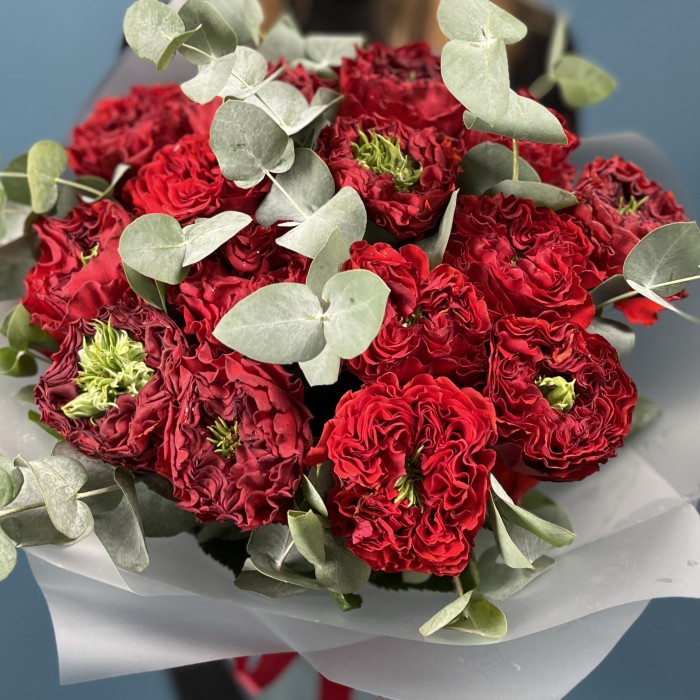 15 пионовидных роз Ред монстер 50 см с эвкалиптом