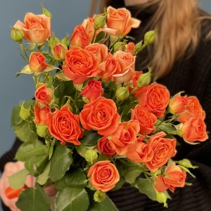 5 кустовых оранжевых роз Чарминг Бейб 50 см