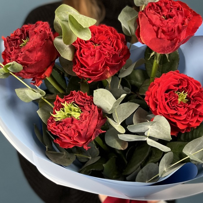 5 пионовидных роз Ред Монстер 50 см с эвкалиптом