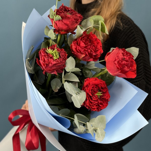 5 пионовидных роз Ред Монстер с эвкалиптом