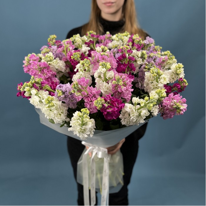 51 маттиола MIX