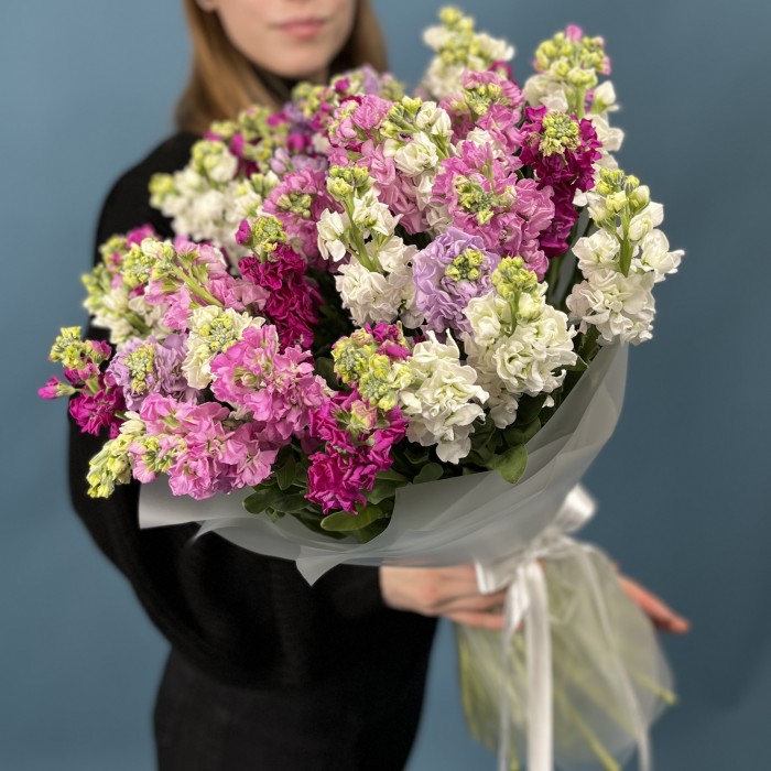 51 маттиола MIX