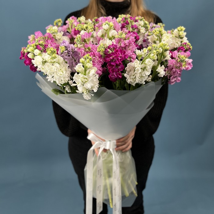 51 маттиола MIX