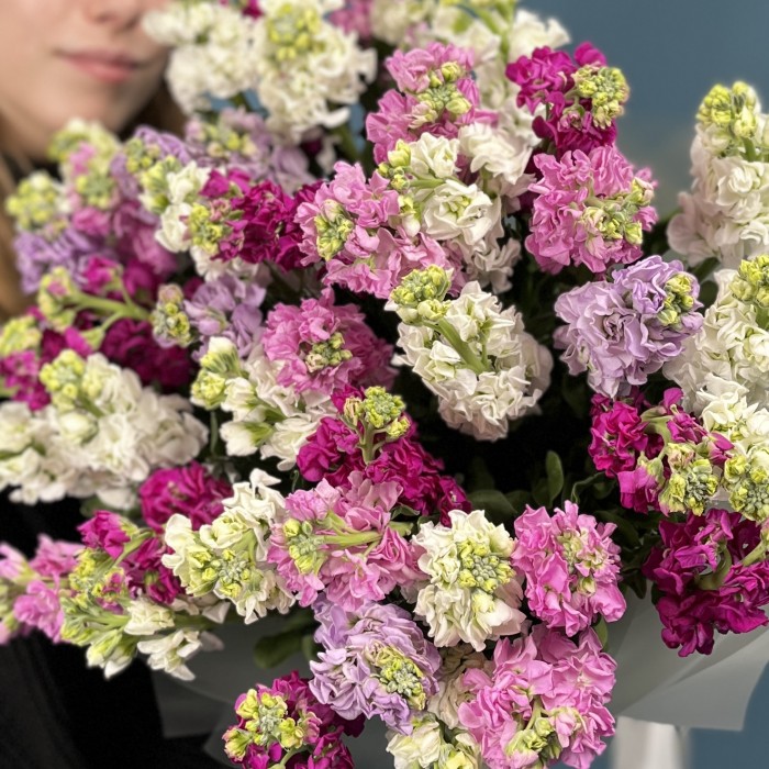 51 маттиола MIX