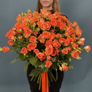 Кустовая оранжевая Роза Чарминг Бейб 50 см