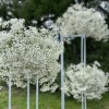 Свадебная арка с гипсофилой