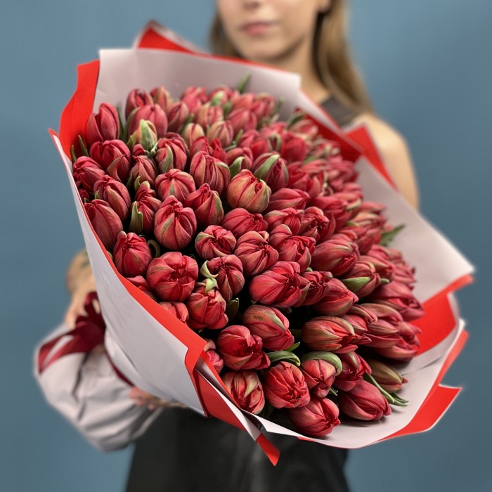 101 красный пионовидный тюльпан  Ред Принц