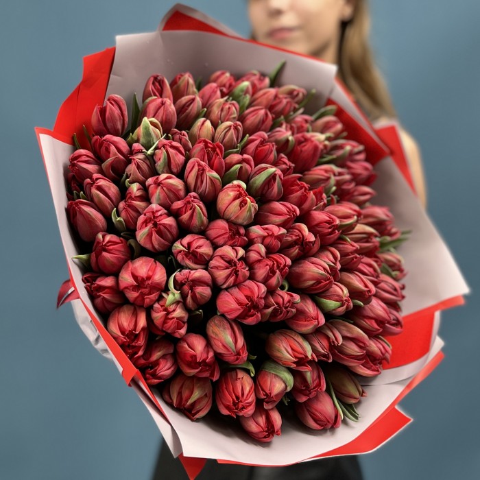 101 красный пионовидный тюльпан  Ред Принц