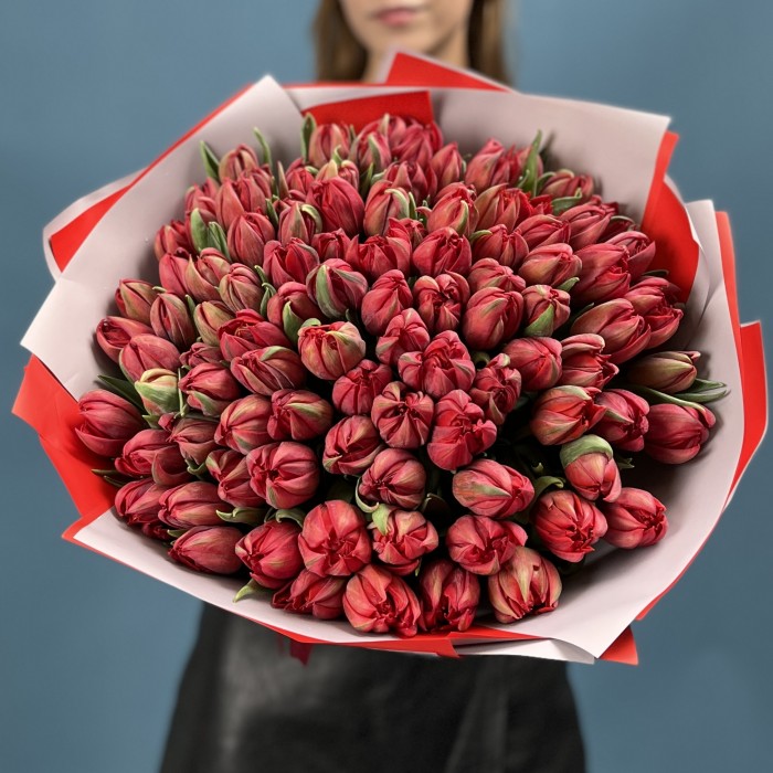 101 красный пионовидный тюльпан  Ред Принц