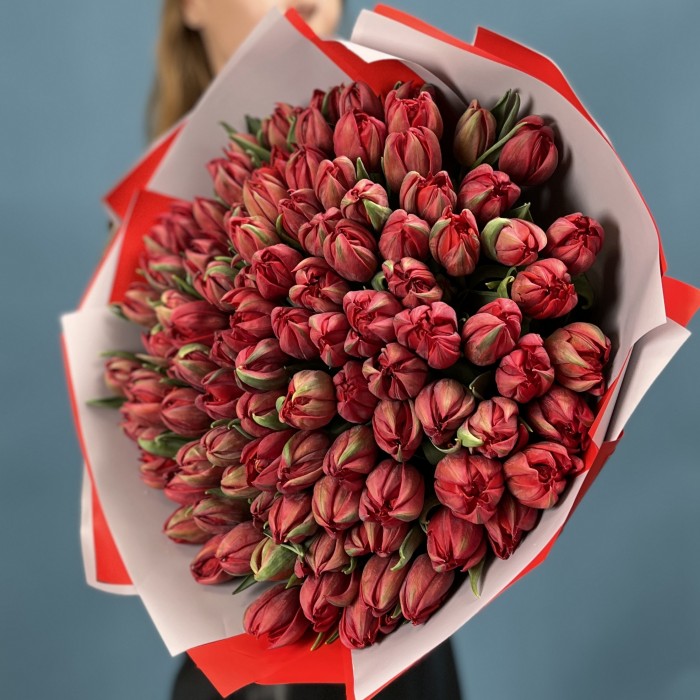 101 красный пионовидный тюльпан  Ред Принц