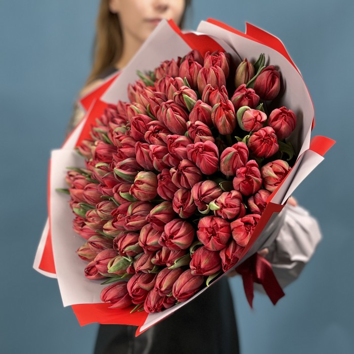 101 красный пионовидный тюльпан  Ред Принц