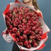 101 красный пионовидный тюльпан  Ред Принц
