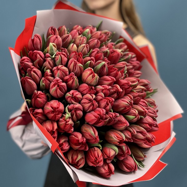 101 красный пионовидный тюльпан  Ред Принц