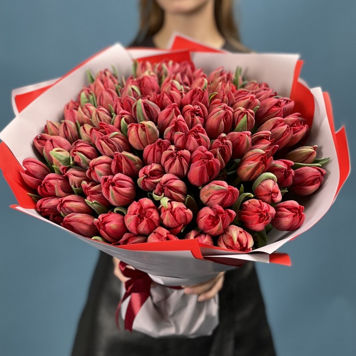 101 красный пионовидный тюльпан  Ред Принц