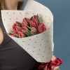 11 красных пионовидных тюльпанов Ред Принц